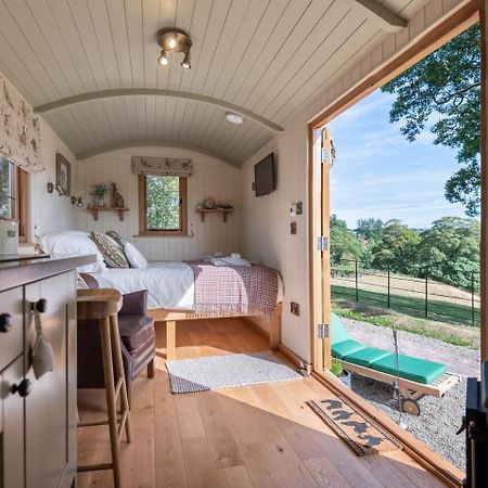 Padarn'S Hut Villa Llanbadarn Fynydd Eksteriør billede